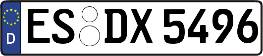 ES-DX5496