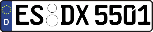 ES-DX5501