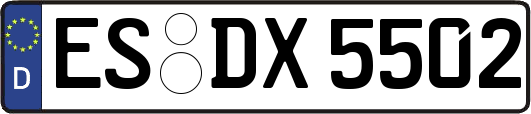 ES-DX5502
