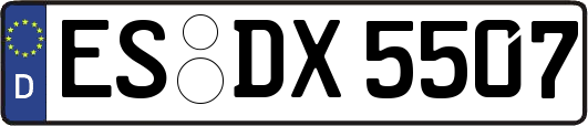 ES-DX5507