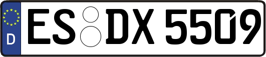 ES-DX5509