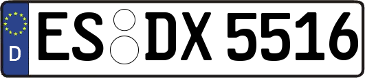ES-DX5516