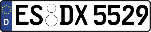 ES-DX5529