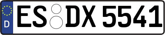 ES-DX5541
