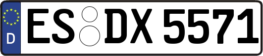 ES-DX5571