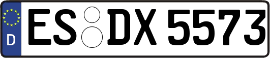 ES-DX5573