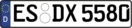 ES-DX5580