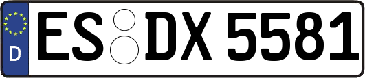 ES-DX5581