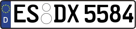 ES-DX5584