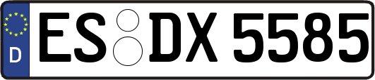 ES-DX5585