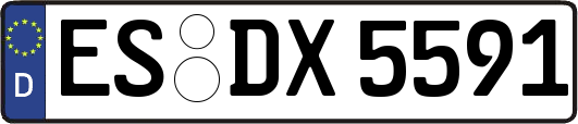 ES-DX5591