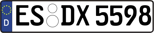 ES-DX5598