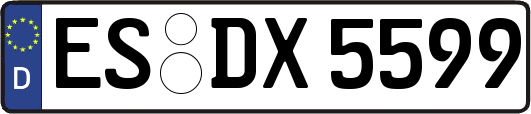 ES-DX5599