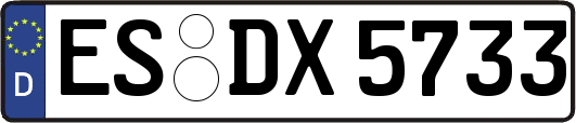 ES-DX5733