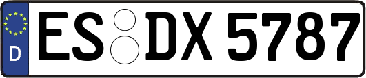 ES-DX5787