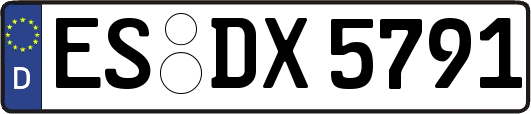 ES-DX5791
