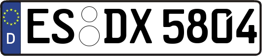 ES-DX5804