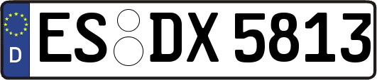 ES-DX5813