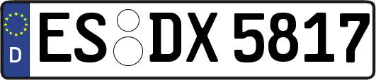 ES-DX5817