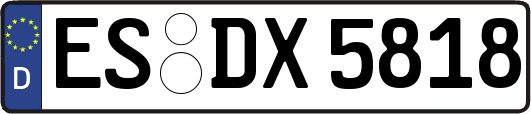 ES-DX5818