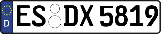 ES-DX5819