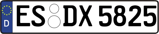 ES-DX5825