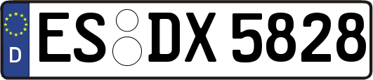 ES-DX5828