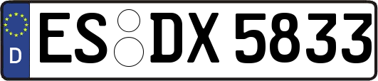 ES-DX5833