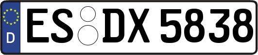 ES-DX5838