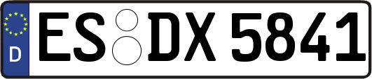 ES-DX5841