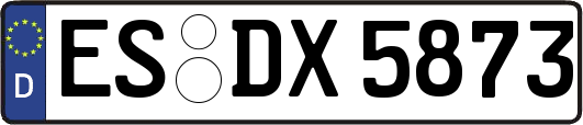 ES-DX5873