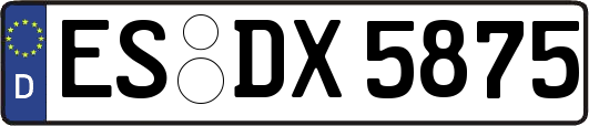 ES-DX5875