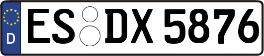 ES-DX5876