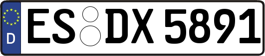 ES-DX5891