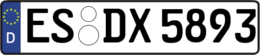 ES-DX5893
