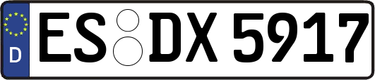 ES-DX5917