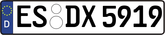 ES-DX5919