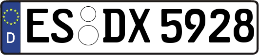 ES-DX5928