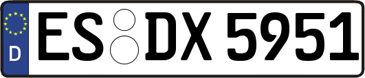ES-DX5951