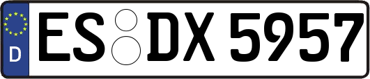 ES-DX5957