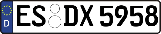 ES-DX5958