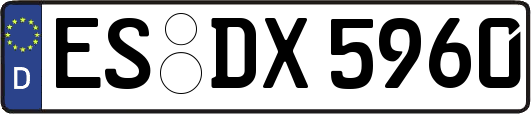 ES-DX5960