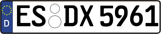 ES-DX5961