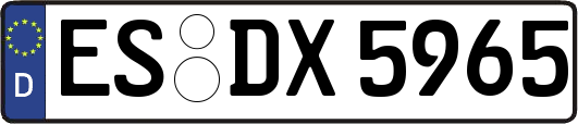ES-DX5965