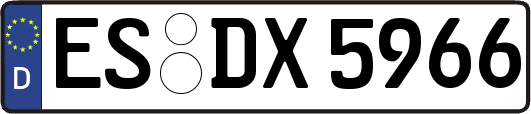 ES-DX5966