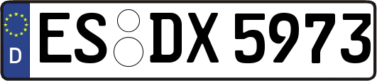 ES-DX5973