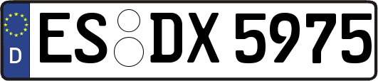 ES-DX5975