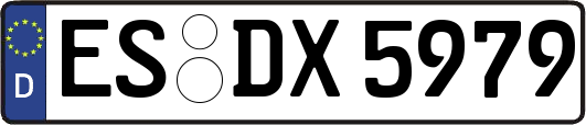 ES-DX5979