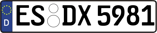 ES-DX5981