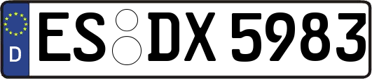 ES-DX5983
